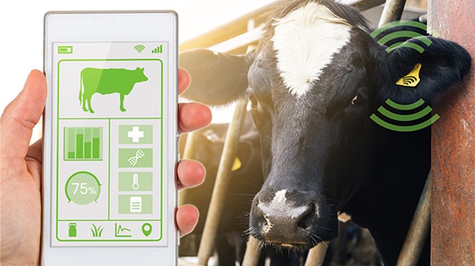 Paushtika - Smart Cattle Health Monitor